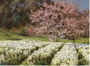 Antonio Mancini Spring blossom Germany oil painting artist
